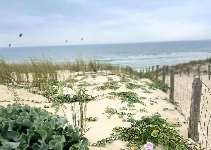 Chalet La Du Broustic Andernos-les-Bains