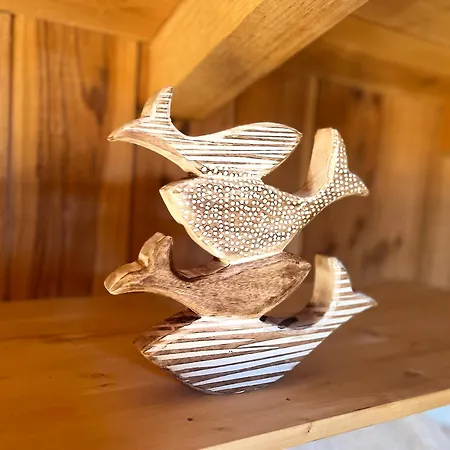 La Du Broustic Andernos-les-Bains