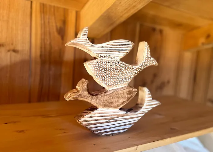 La Du Broustic Andernos-les-Bains